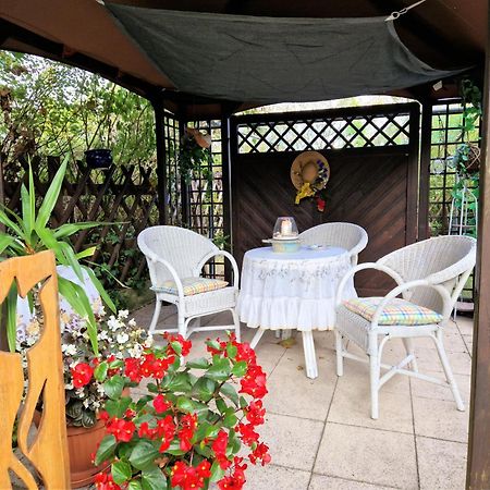 Apartmán Ahlbeck, Ferienobjekt Apfel-Blume-Veilchen Heringsdorf  Exteriér fotografie